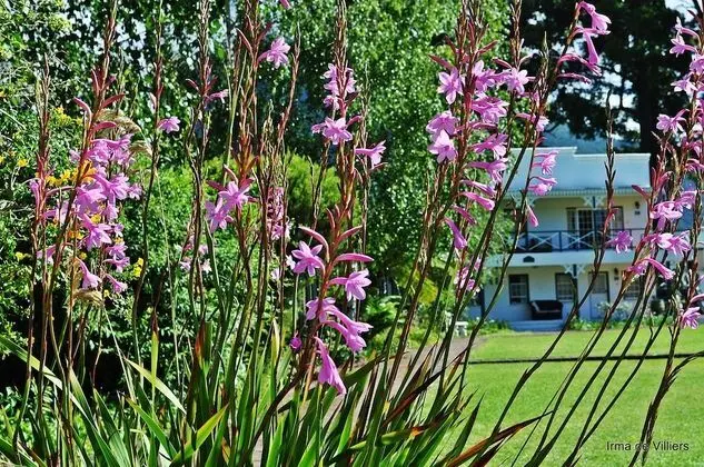 Premier Oda, 1 En Büyük (King) Boy Yatak ve Çekyat