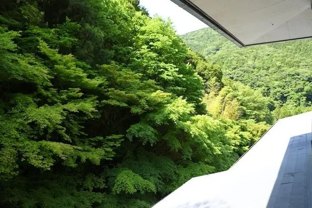 Executive Süit, Sigara İçilmez (with Private Open-Air Bath)