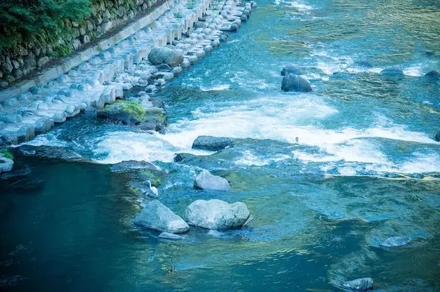 Traditional Oda