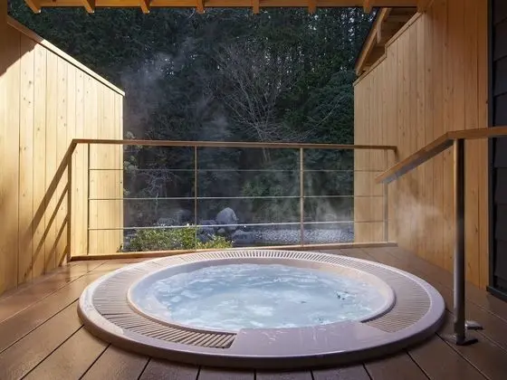İki Ayrı Yataklı Oda (JPN/Western, with Pvt. Open-air Bath)