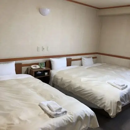 Comfort İki Ayrı Yataklı Oda, Sigara İçilmez (2 single beds + 1 sofa bed )
