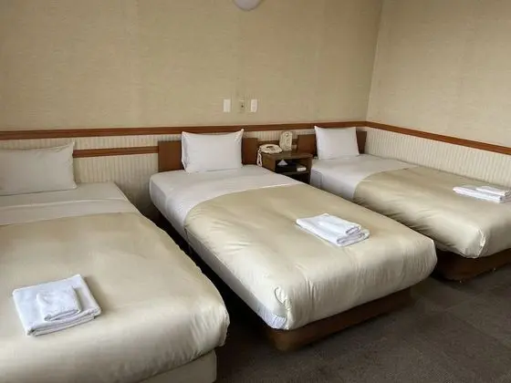 Comfort İki Ayrı Yataklı Oda, Sigara İçilmez (2 single beds + 1 sofa bed )