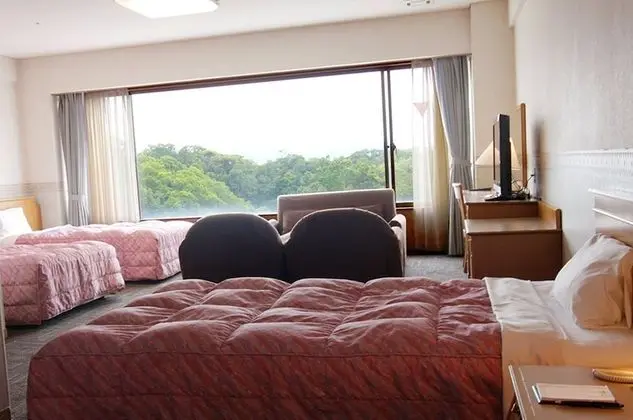 Deluxe Oda, Sigara İçilmez (North Wing)