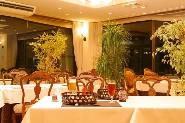 Traditional İki Ayrı Yataklı Oda (Deluxe, Japanese Style)