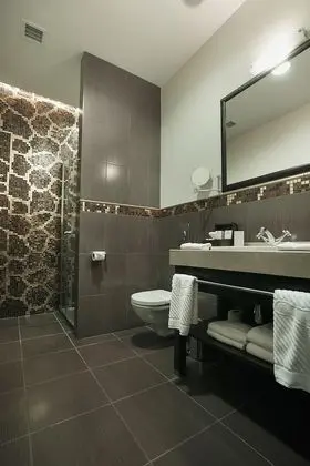 Standard Tek Büyük veya İki Ayrı Yataklı Oda (Spa and Fitness)