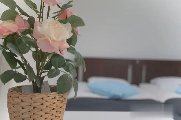 Business Apart Daire, 2 Tek Kişilik Yatak, Sigara İçilmez (UM-103)