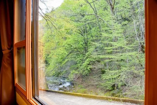 Traditional İki Ayrı Yataklı Oda, Sigara İçilmez, Nehir Manzaralı