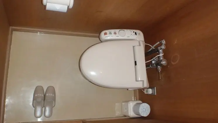 Economy Oda, Sigara İçilmez, Dağ Manzaralı (Run of House with toilet and sink)
