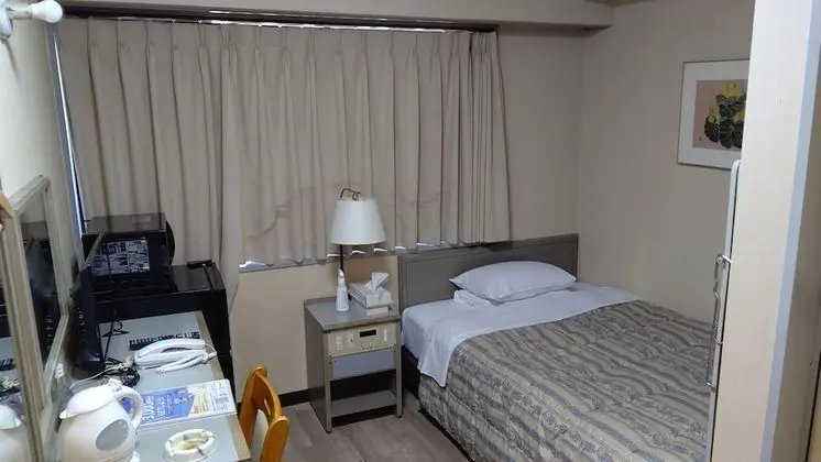 Economy Tek Büyük Yataklı Oda, Sigara İçilmez