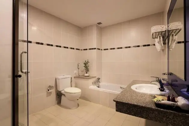 Superior İki Ayrı Yataklı Oda, Şehir Manzaralı