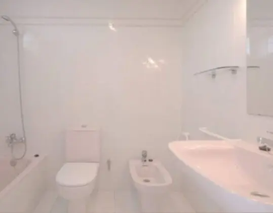 Superior Tek Büyük veya İki Ayrı Yataklı Oda (4 Adults)