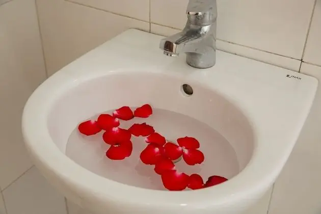 Superior Üç Kişilik Oda, Şehir Manzaralı