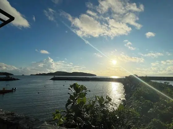 Panoramic Tek Büyük Yataklı Oda