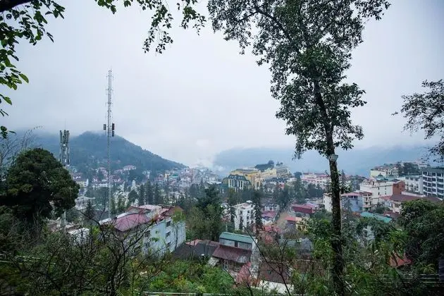 Tek Büyük veya İki Ayrı Yataklı Oda, Bahçe Manzaralı (Bee)