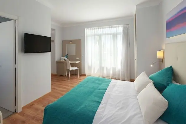 Standard Tek Büyük Yataklı Oda (1 Adult)