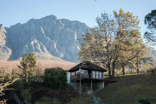 Kır Evi (Lavendar)