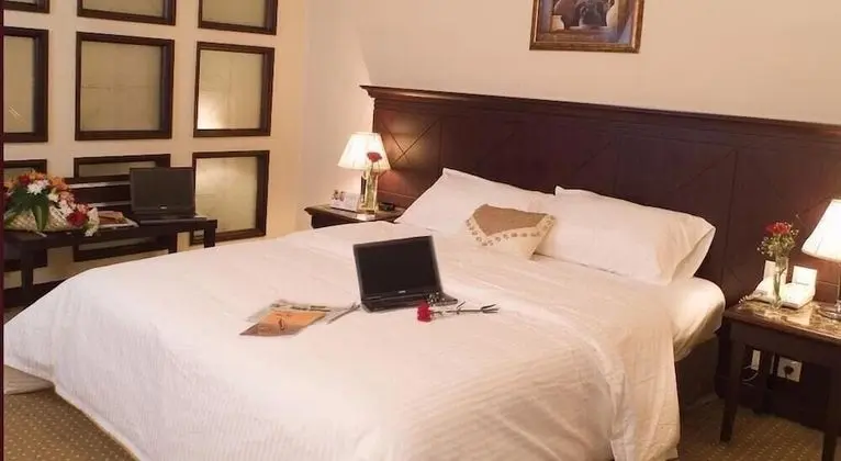 Deluxe Tek Büyük veya İki Ayrı Yataklı Oda, Şehir Manzaralı