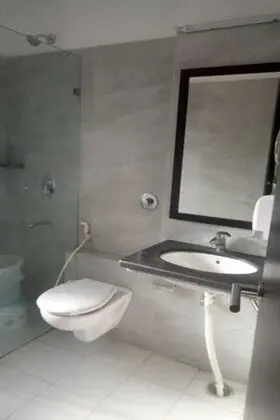 Deluxe Tek Büyük Yataklı Oda, 1 Çift Kişilik Yatak, Engellilere Uygun