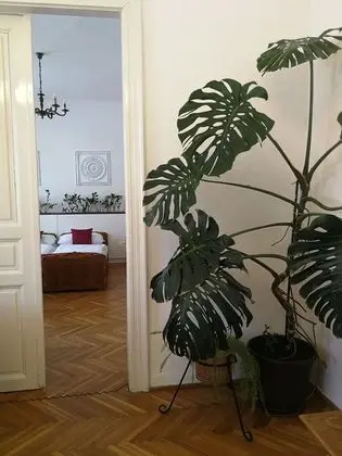 Classic Üç Kişilik Oda, Özel Banyo