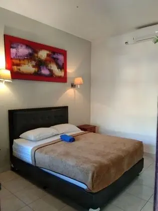 Standard Tek Büyük Yataklı Oda (With AC)