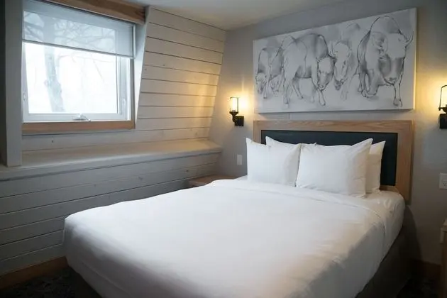 Deluxe Apart Daire, 1 Yatak Odası (Loft 3 Queen)