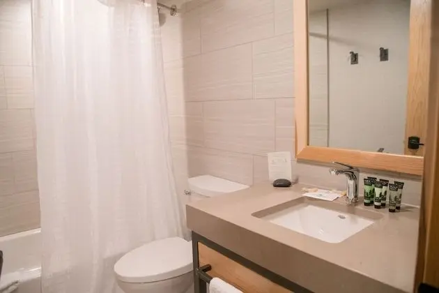 Deluxe Apart Daire, 1 Yatak Odası (Loft 3 Queen)