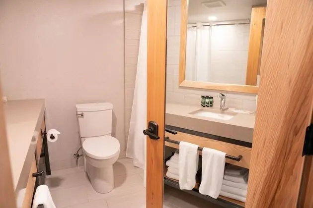 Deluxe Apart Daire, 1 Yatak Odası (Loft - King, Queen)