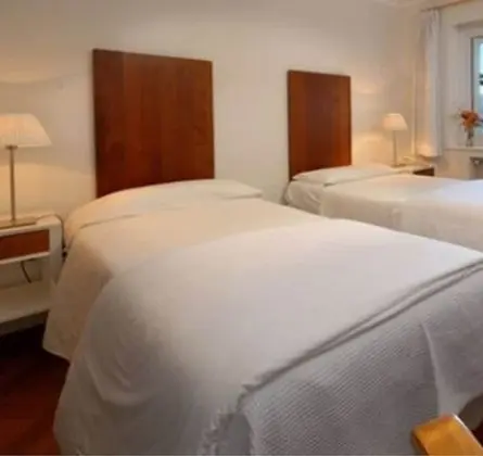 Standard Tek Büyük Yataklı Oda, Bahçe Manzaralı