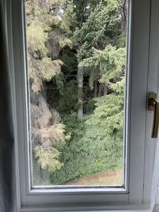 Standard Tek Büyük Yataklı Oda, Bahçe Manzaralı