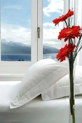 Standard Tek Büyük Yataklı Oda, Göl Manzaralı