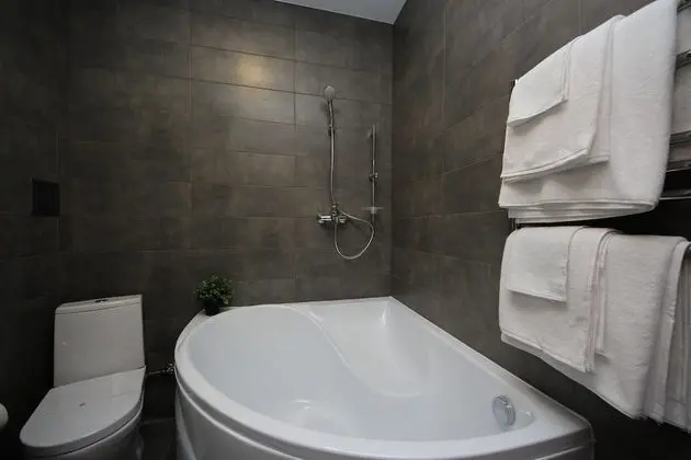 Deluxe Tek Büyük veya İki Ayrı Yataklı Oda