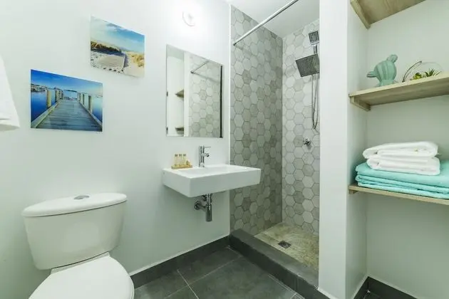 Deluxe Stüdyo Süit, 1 En Büyük (King) Boy Yatak ve Çekyat, Mutfak