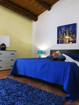 Tek Büyük Yataklı Oda, Üzüm Asması Manzaralı