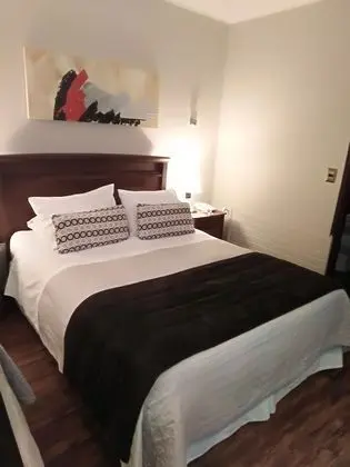 Superior Tek Büyük Yataklı Oda, 1 Büyük (Queen) Boy Yatak