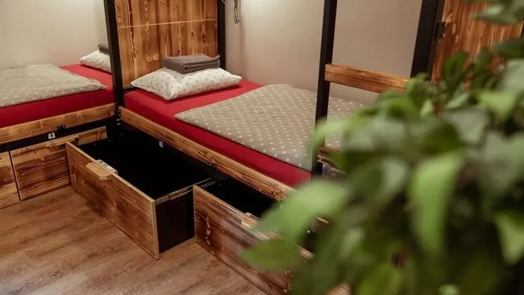 Bunk Bed in 14-Bed Female Dormitory Room