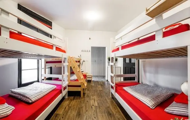 Bunk Bed in 6-Bed Mixed Dormitory Room