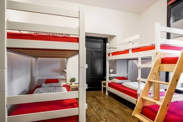 Bunk Bed in 6-Bed Mixed Dormitory Room