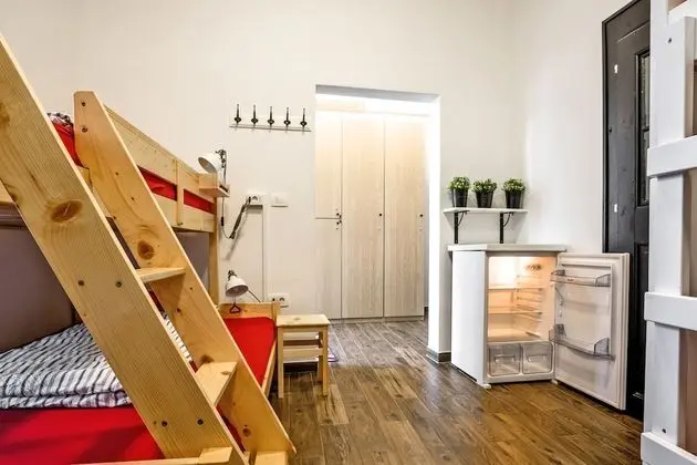 Bunk Bed in 6-Bed Mixed Dormitory Room