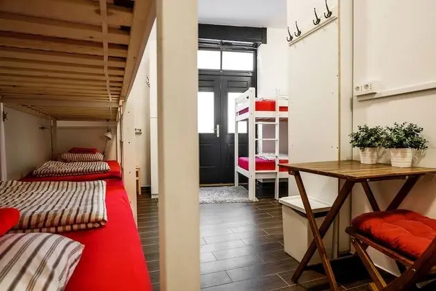 Bunk Bed in 8-Bed Mixed Dormitory Room