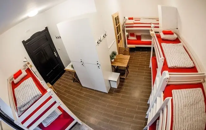 Bunk Bed in 8-Bed Mixed Dormitory Room