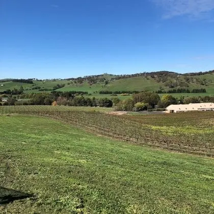 Stüdyo (Studio King/Twin)