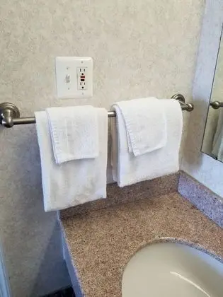 Standard Tek Kişilik Oda, 1 En Büyük (King) Boy Yatak, Sigara İçilebilir, Buzdolabı ve Mikrodalga