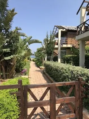Standard Bungalov, Bahçe Manzaralı