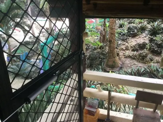 Romantic Stüdyo Süit, 1 Çift Kişilik Yatak, Bahçe Manzaralı