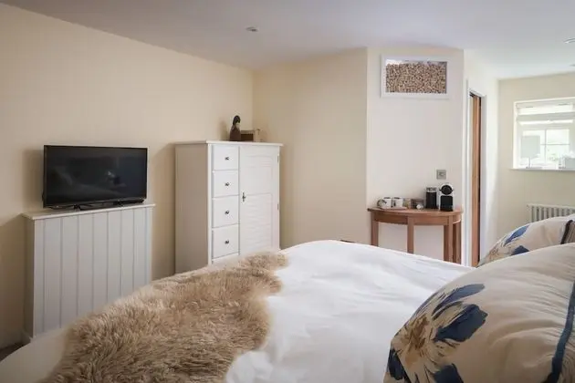 Luxury Tek Büyük Yataklı Oda, Banyolu/Duşlu