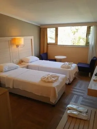 Çatı Katı Standart Oda, Şehir veya Dağ Manzaralı