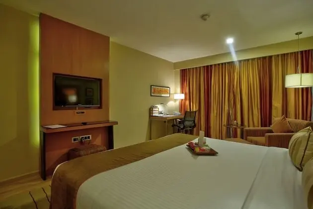 Deluxe Oda, 1 Çift Kişilik Yatak