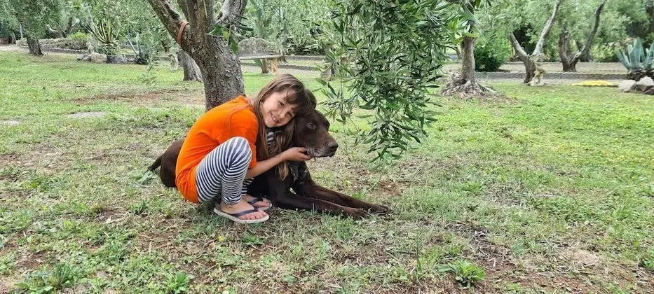 Villa, 5 Yatak Odası, Şömine