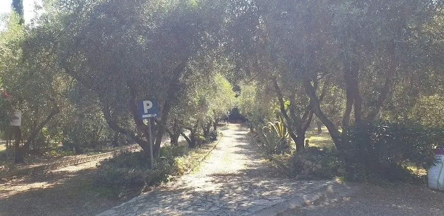 Villa, 5 Yatak Odası, Şömine