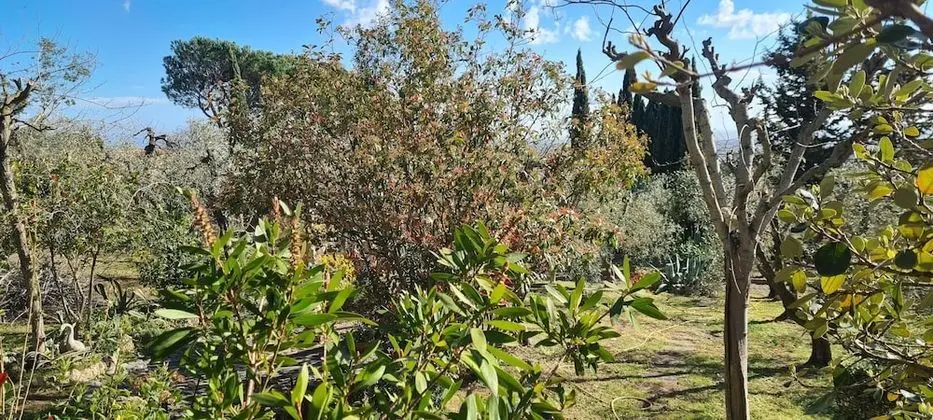 Villa, 5 Yatak Odası, Şömine